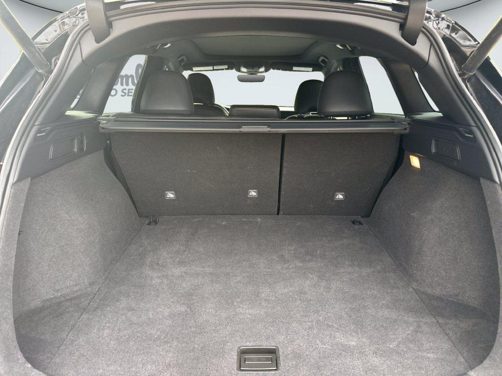2023 INFINITI QX50 SPORT