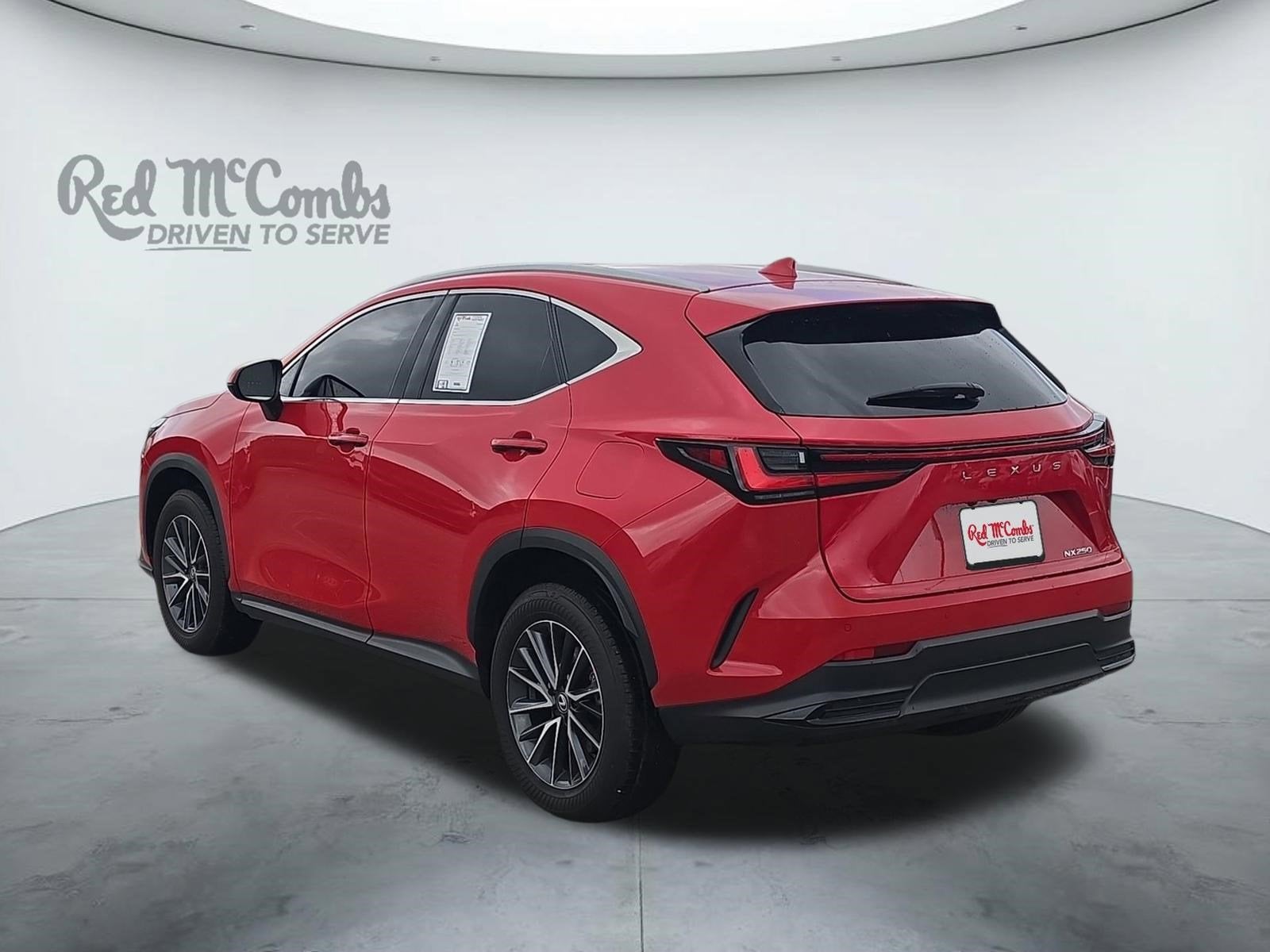 2025 Lexus NX NX 250