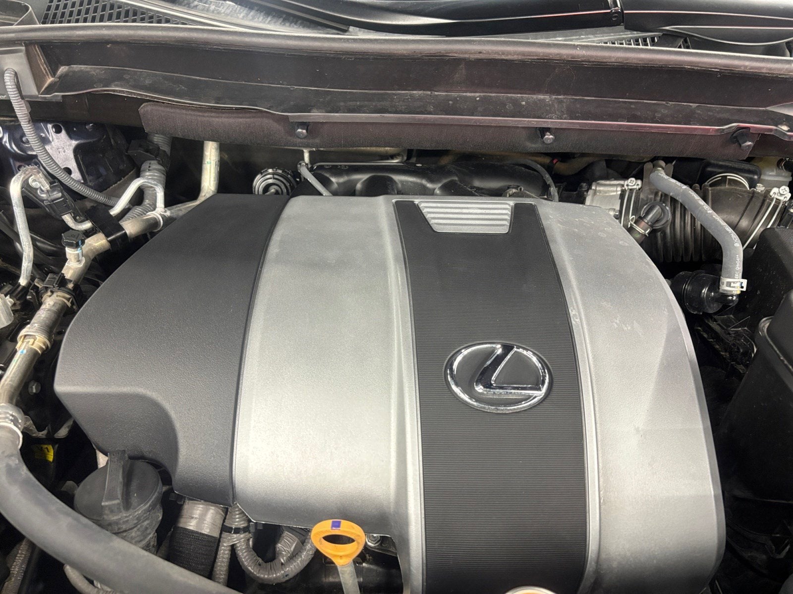 2020 Lexus RX RX 350