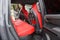 2025 Toyota Tacoma i-FORCE MAX TRD Pro Hybrid