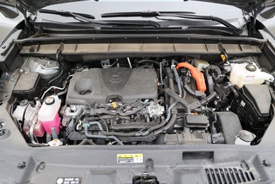 2025 Toyota HIGHLANDER HEV Hybrid XLE