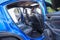 2024 Subaru WRX Limited