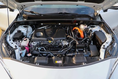 2023 Toyota Venza XLE