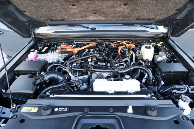 2025 Toyota Land Cruiser 4WD (Natl)