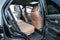 2025 Toyota 4Runner i-FORCE MAX Hybrid Limited
