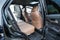 2025 Toyota 4Runner i-FORCE MAX Hybrid Limited