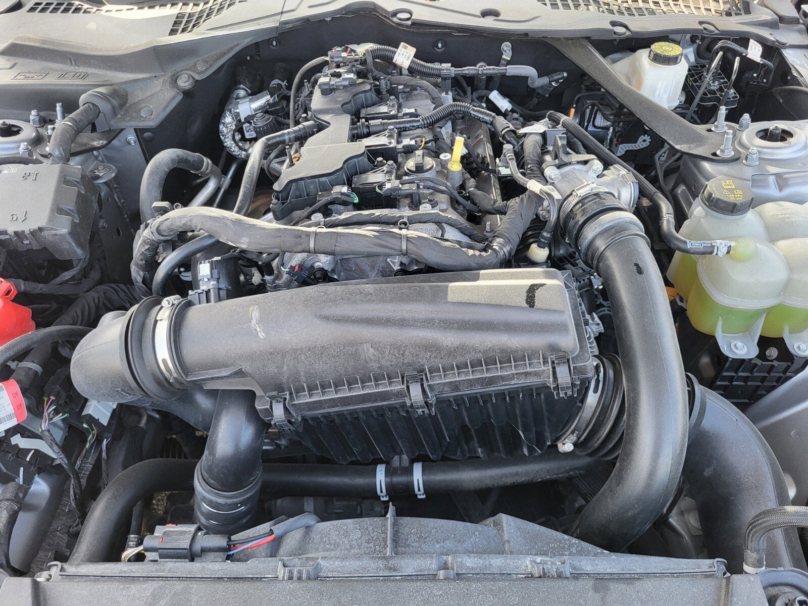 2024 Ford Mustang EcoBoost