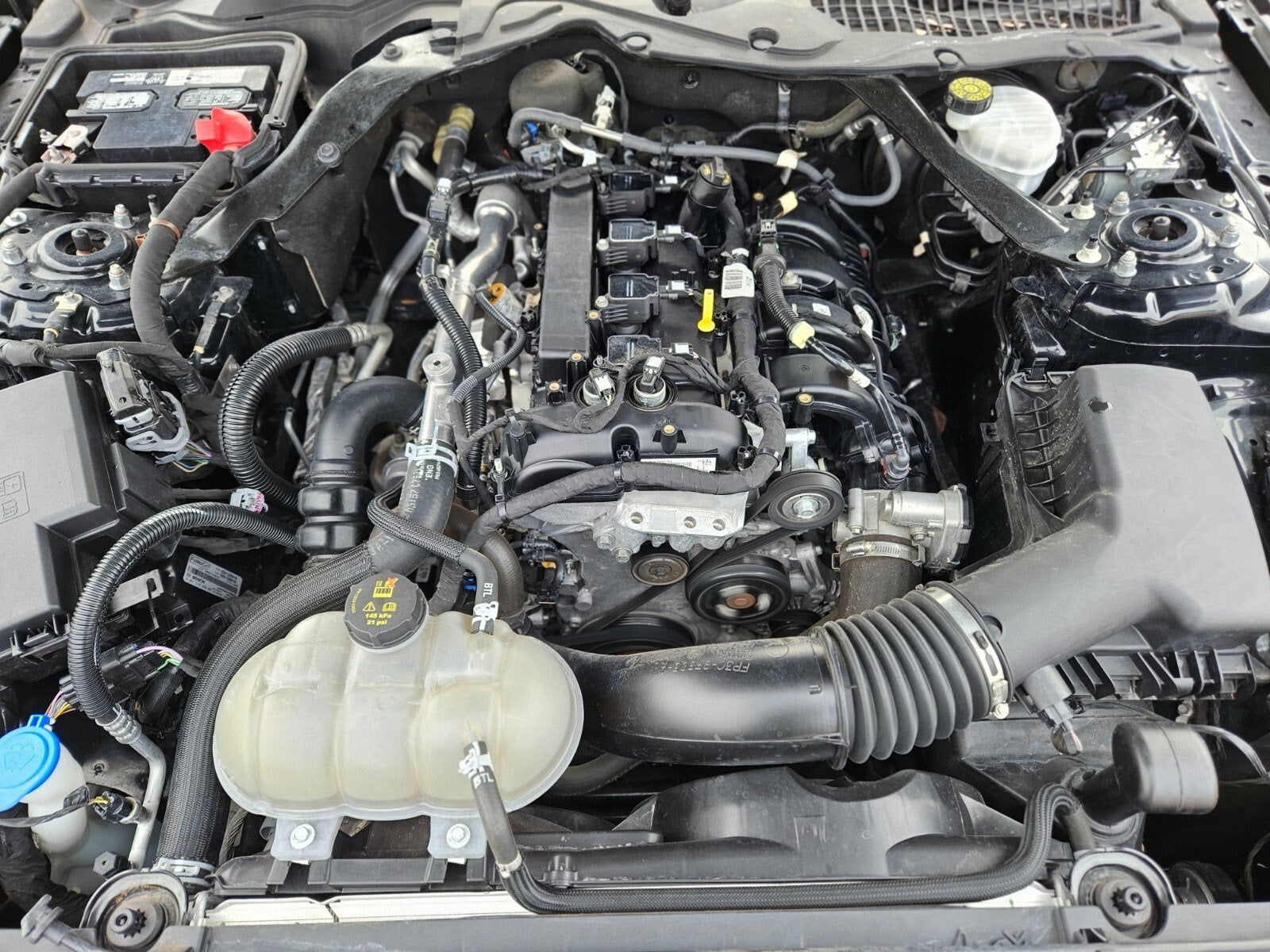 2023 Ford Mustang EcoBoost Premium