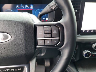 2025 Ford Super Duty F-350 SRW Platinum