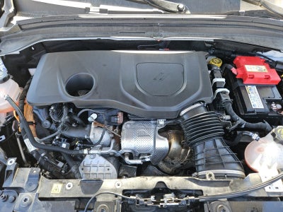 2024 Dodge Hornet R/T