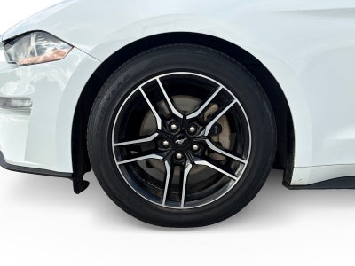 2023 Ford Mustang EcoBoost