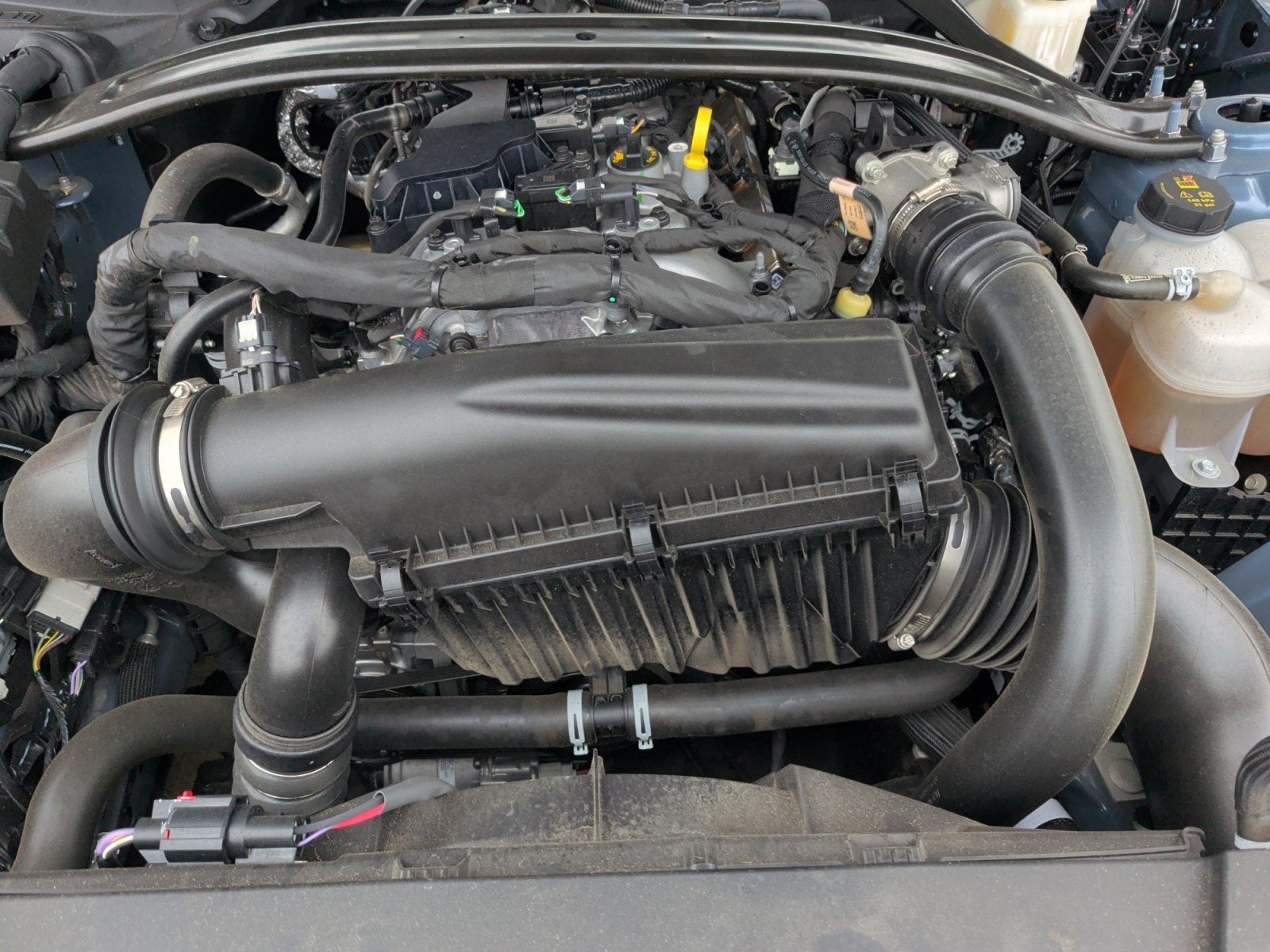 2025 Ford Mustang EcoBoost Premium Convertible