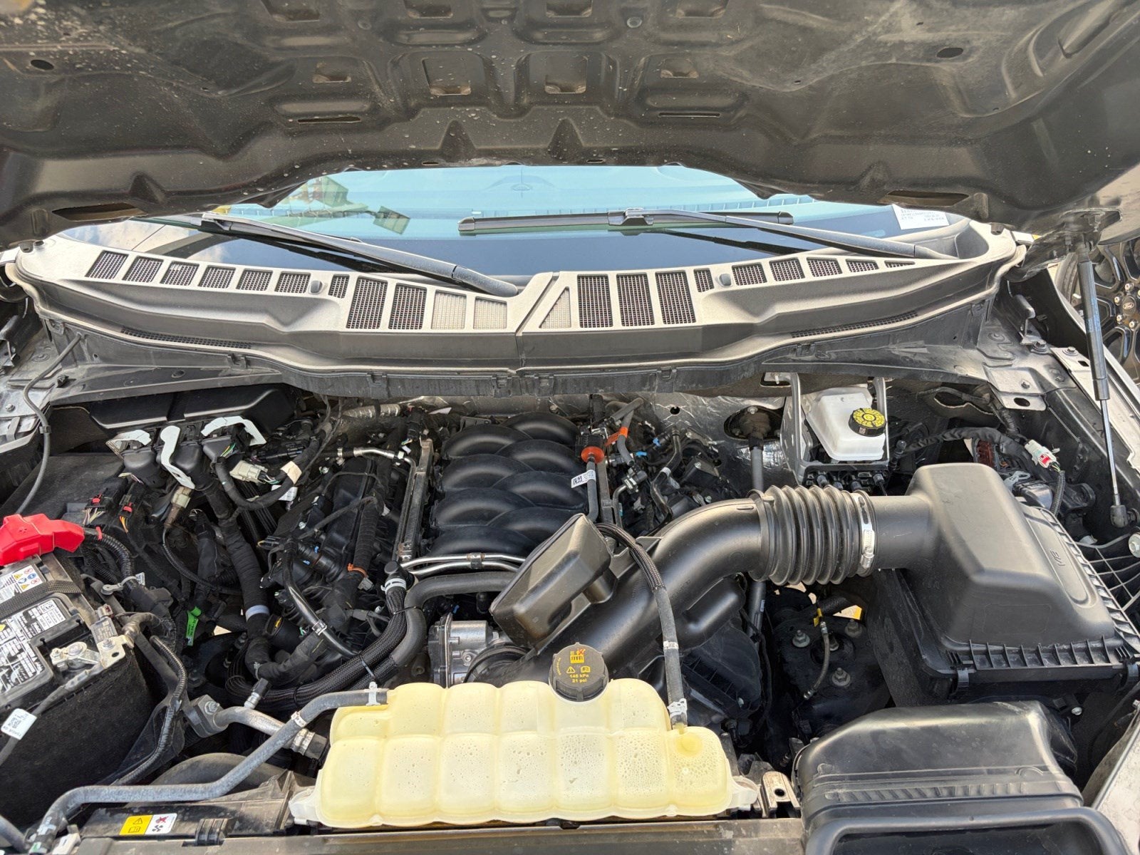 2025 Ford F-150 XL