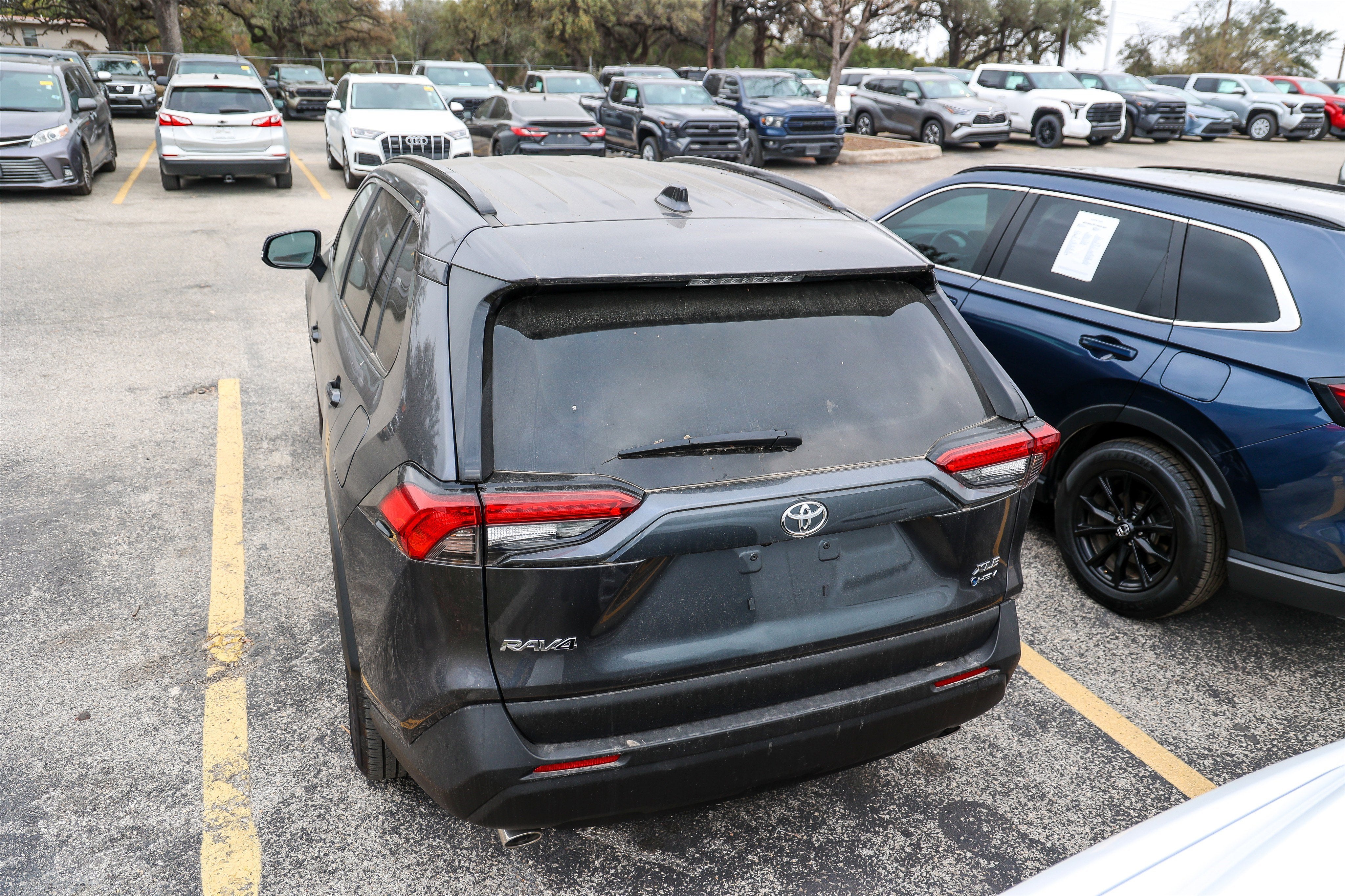 2025 Toyota RAV4 Hybrid XLE